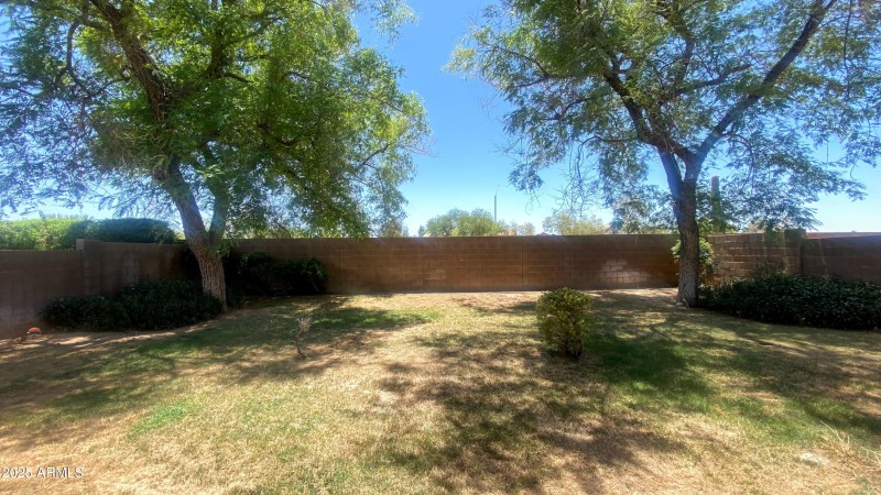 Backyard 3