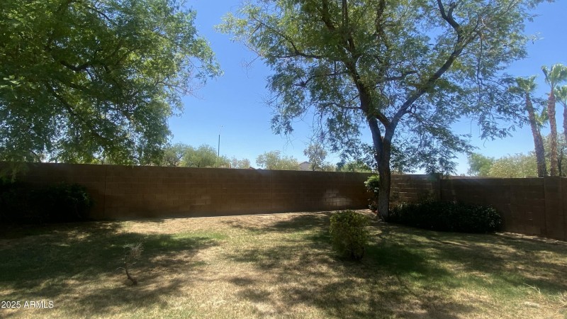 Backyard
