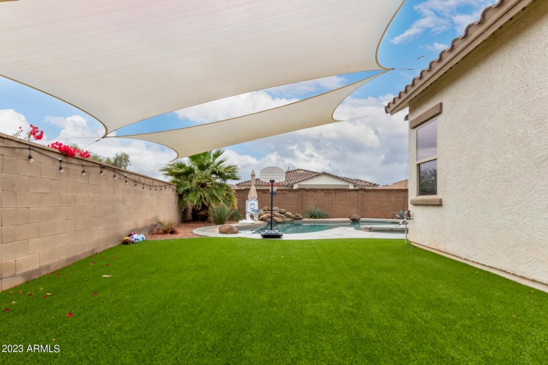 Turf Grass