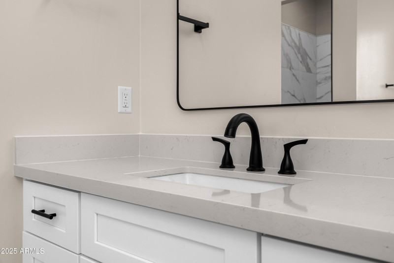 primary bathroom finishes