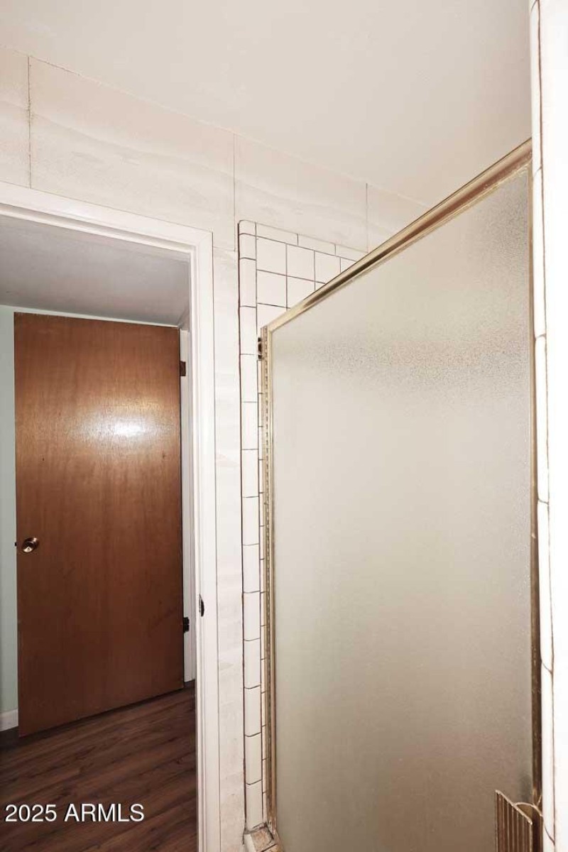 Primary Bath-Shower