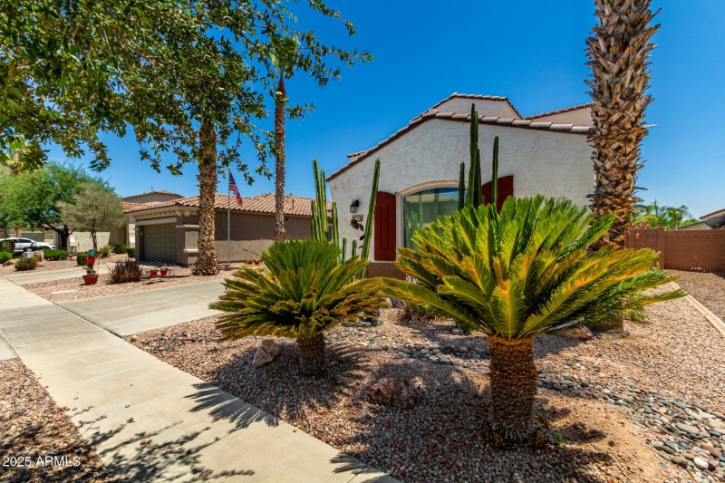 03 - Indian Wells