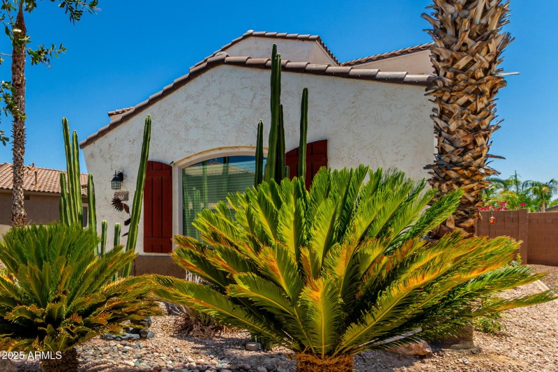 04 - Indian Wells