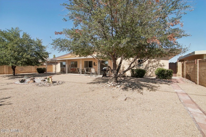 Desert landscaping