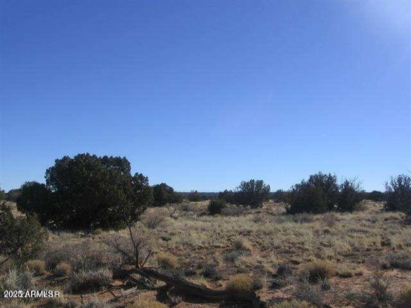 20230619195802445594000000-o