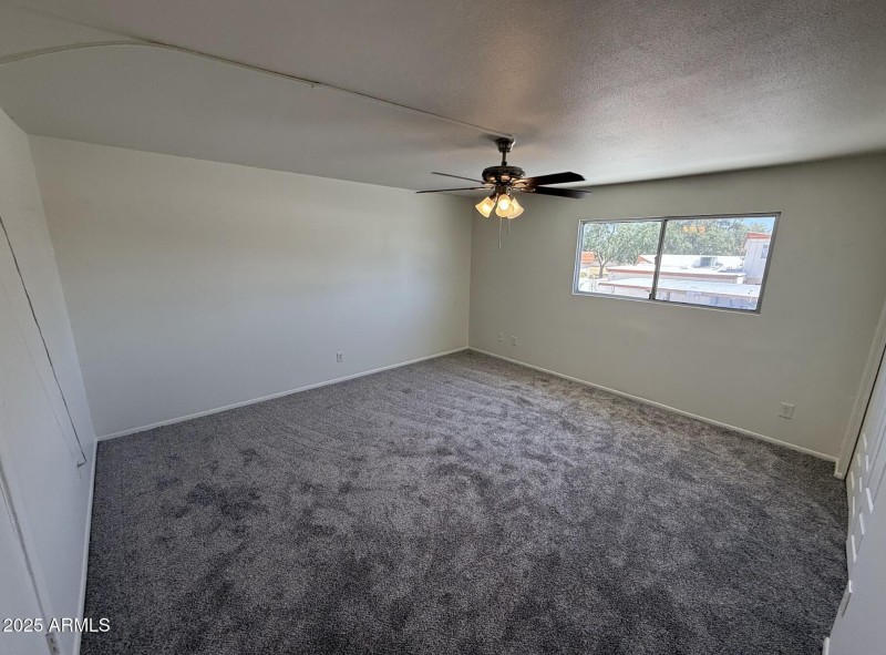 Fresh Carpet