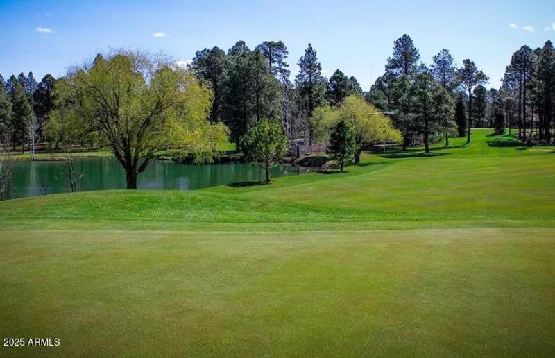 Golf Fairway