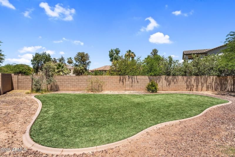 Backyard lawn