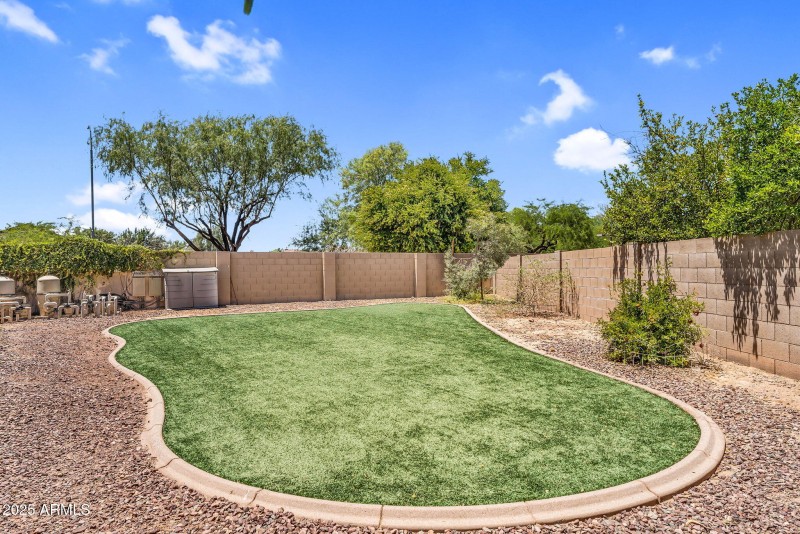 Backyard lawn
