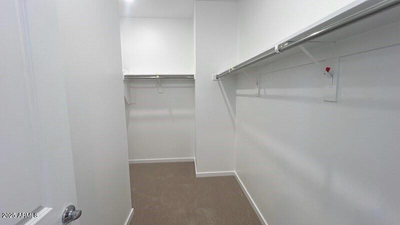 Primary closet #1
