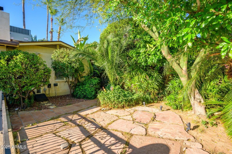 30-web-or-mls-Crocus-36