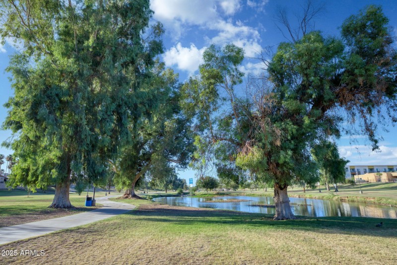 1211 N Miller Rd unit 257 Scottsdale - 3