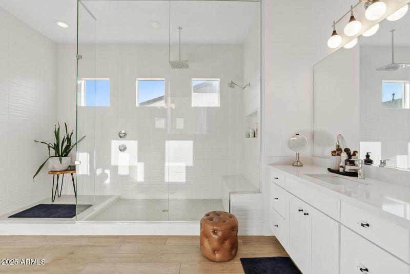 Primary Shower