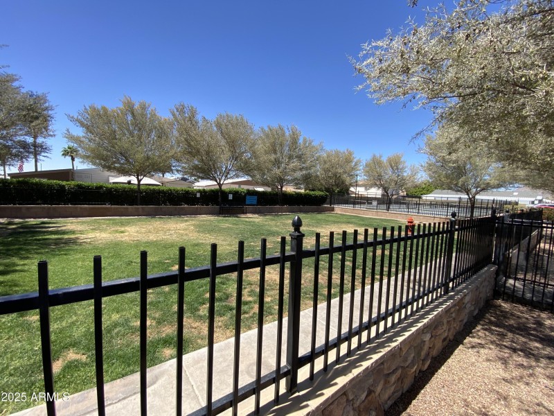 dog park 2