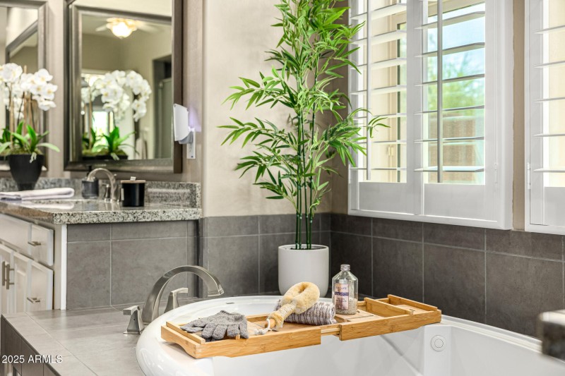 Owner's Bathroom