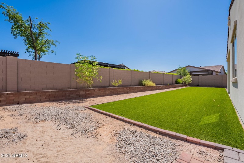 Back Yard