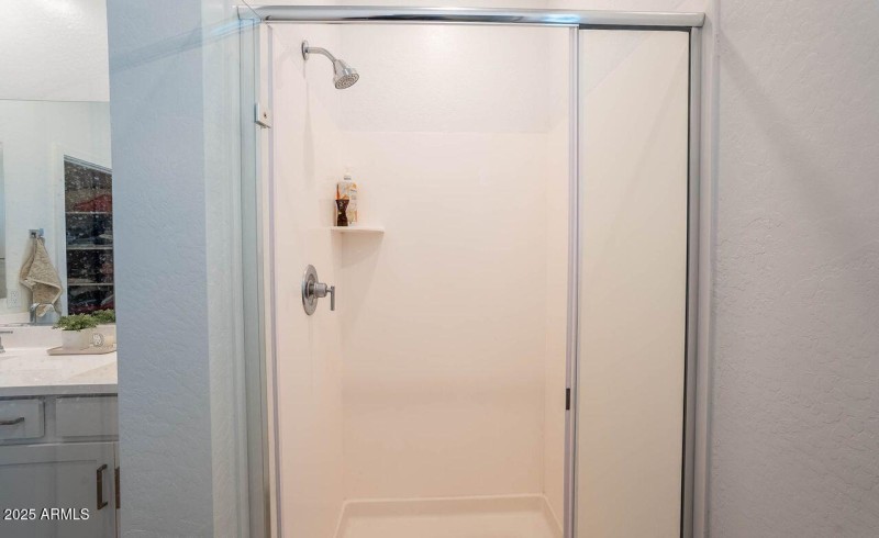 Owner's Bathroom