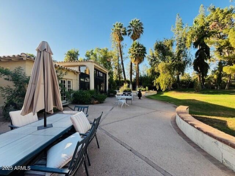 Backyard 3