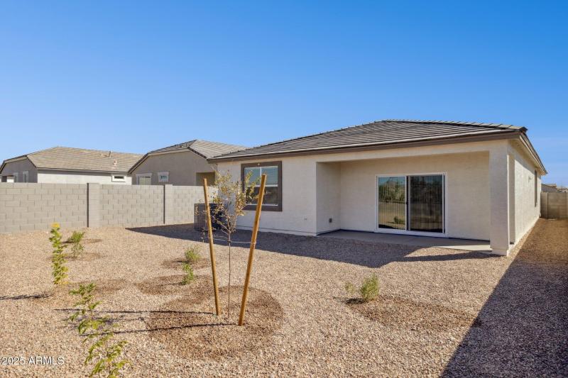 Backyard Landscape