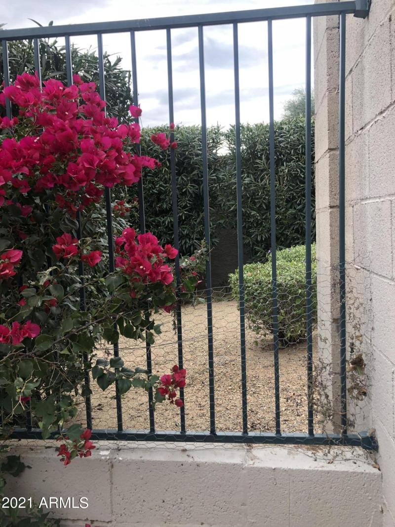 69DDFDC1-EC61-4F6D-A341-352FF05D277D