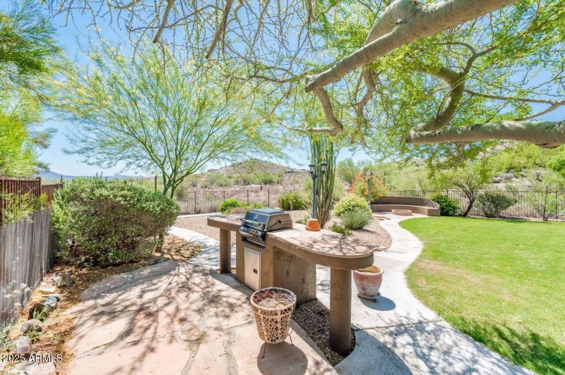 backyard 9