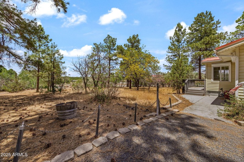 Wooded Lot