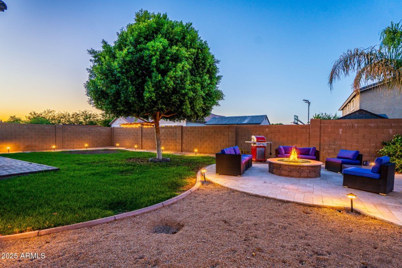 Backyard