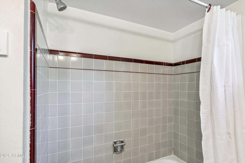 Guest Shower + Tub