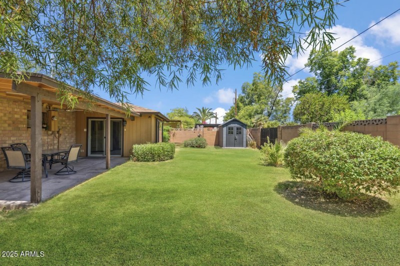 Large Irrigated Backyard
