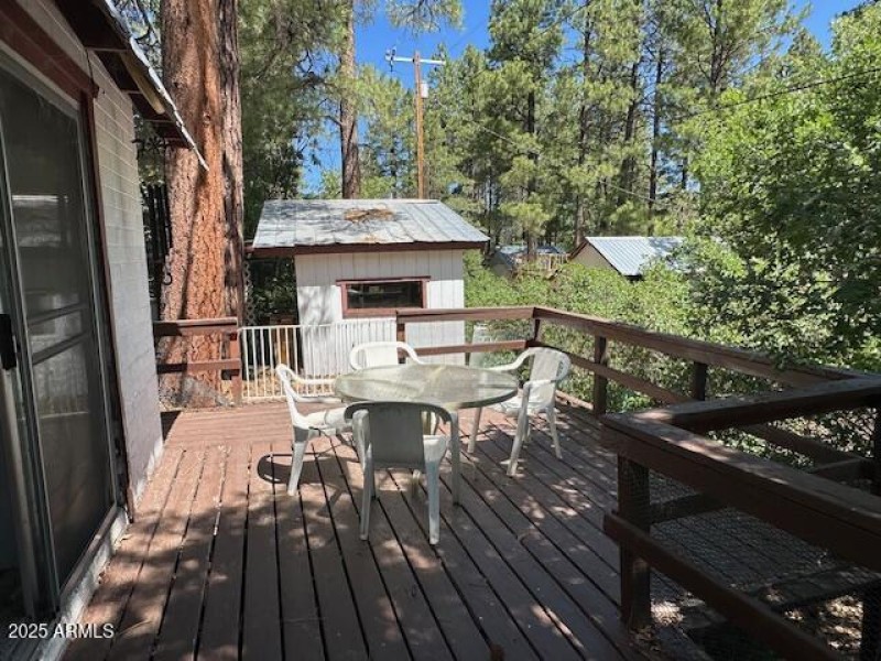 Back Patio