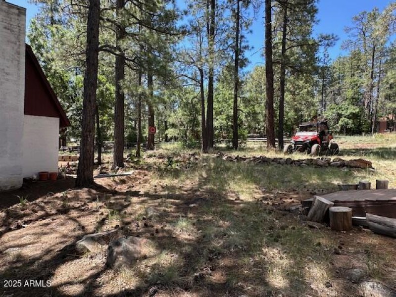 Large 3 lots