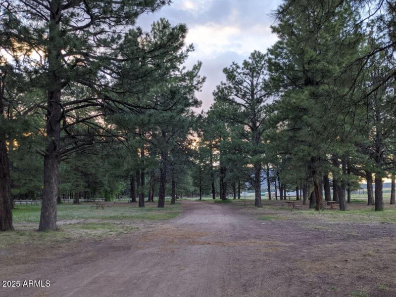 ML Riding trails2