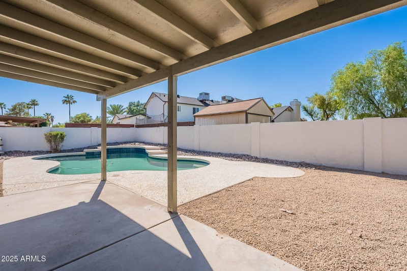 Back Yard
