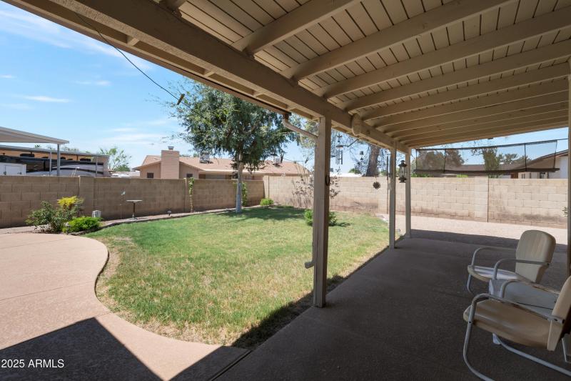 Backyard