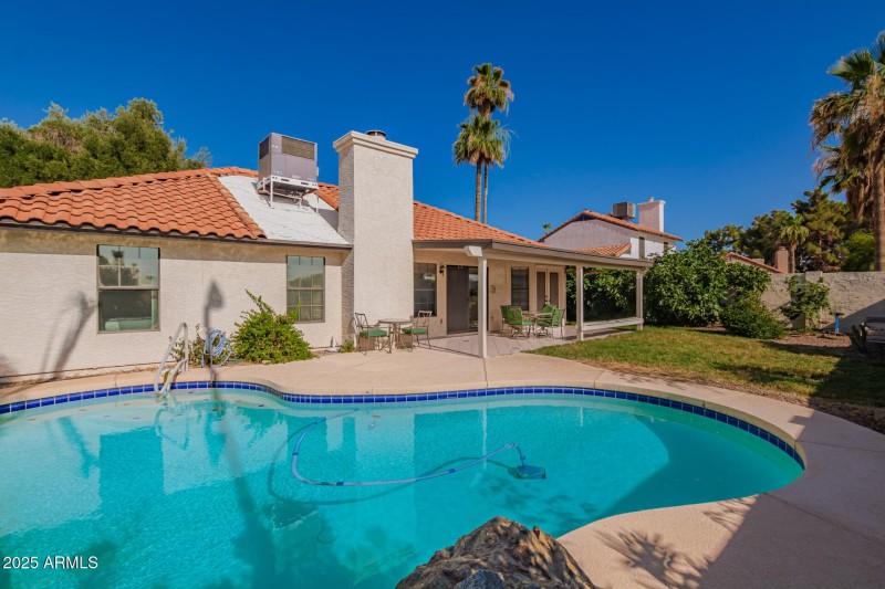 Backyard - Pool