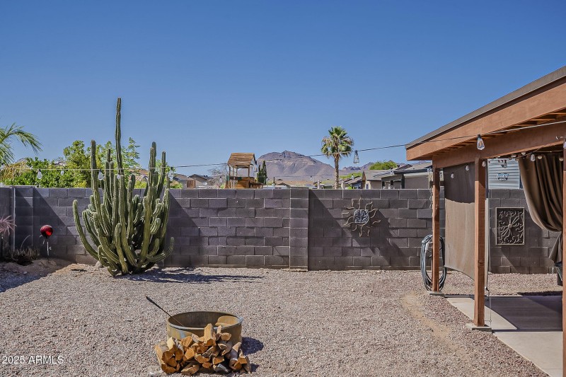Back yard
