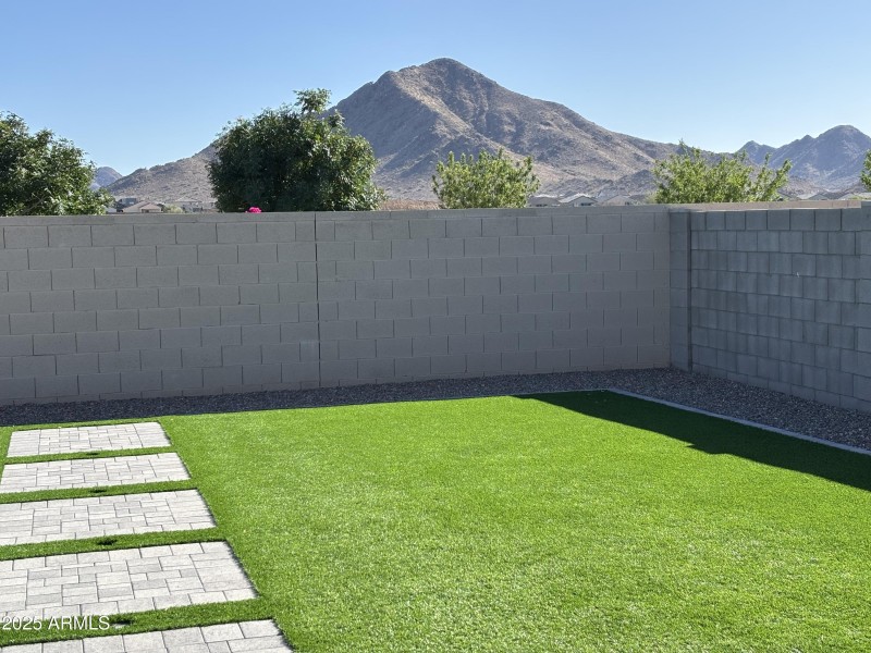 Backyard view