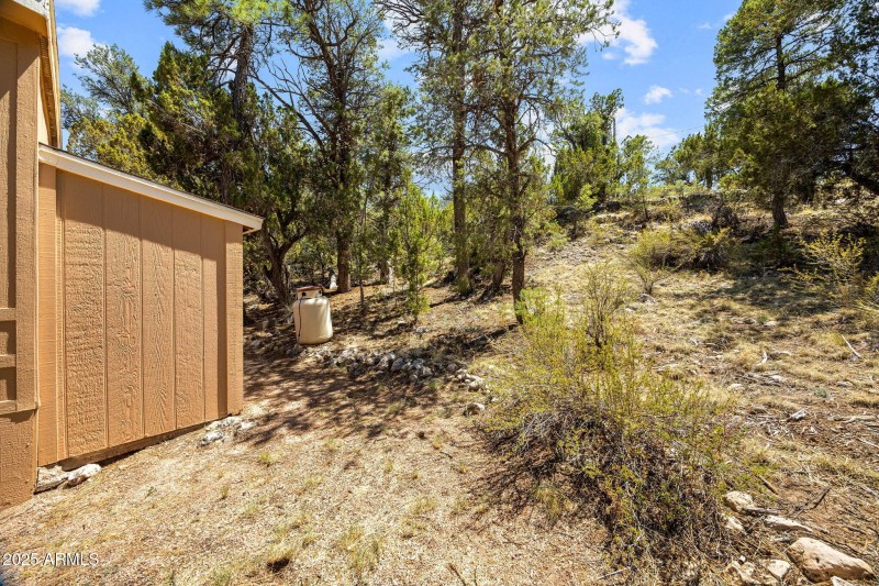 3641StageCoachRd-Heber-AZ-22