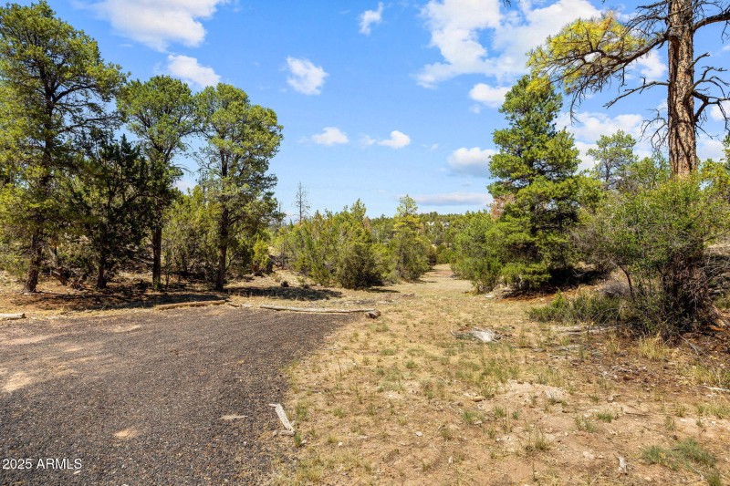 3641StageCoachRd-Heber-AZ-24