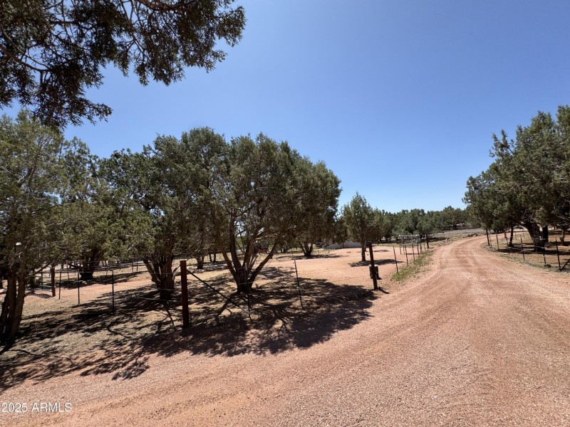 Road