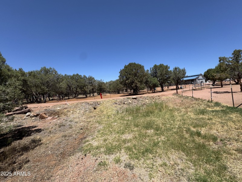 Pasture