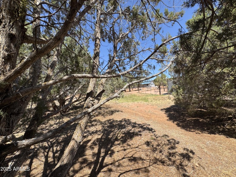 Pasture
