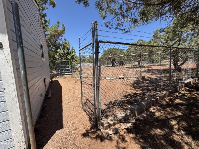 Dog Run