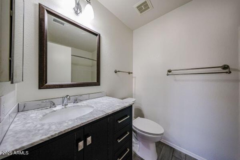 Coopers Hawk B (2)