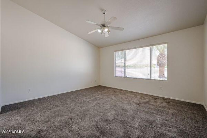 Coopers Hawk B (4)