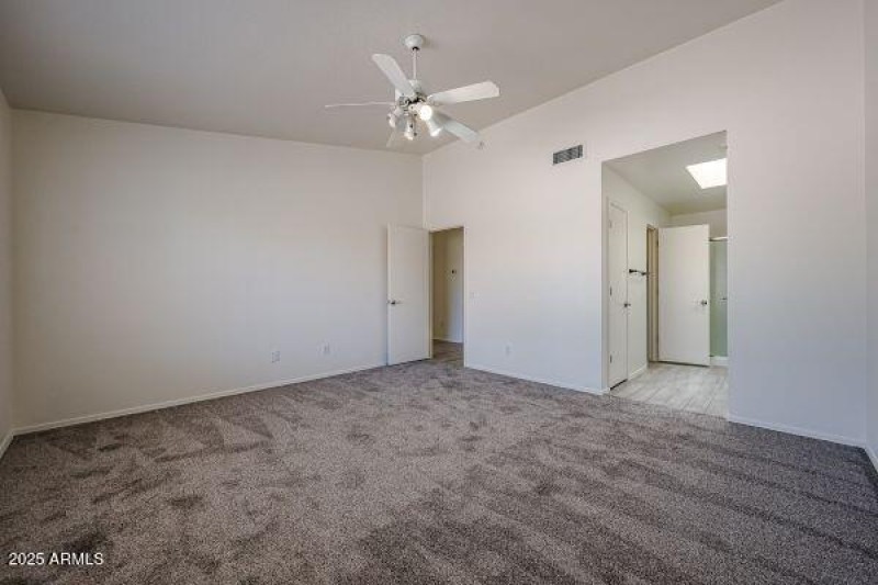 Coopers Hawk B (5)