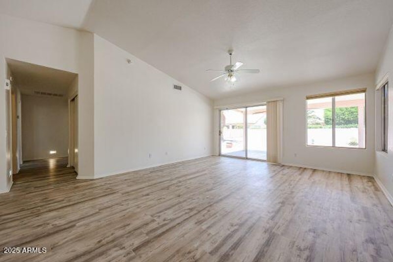 Coopers Hawk B (18)