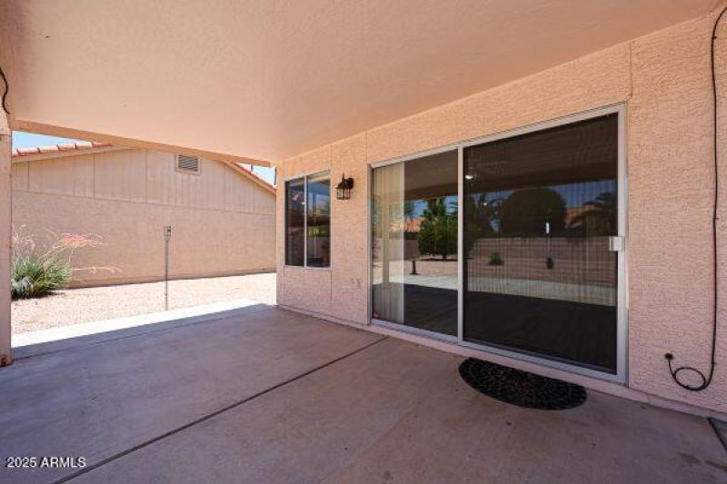 Coopers Hawk C (2)