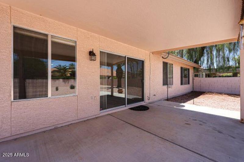 Coopers Hawk C (3)