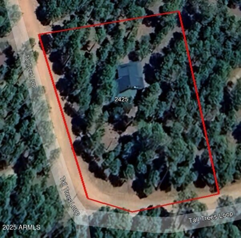 Satellite view